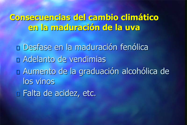 Cambio climático en la viña