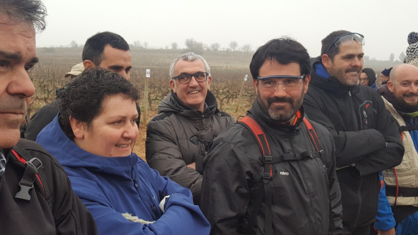 Concurso de poda en Rioja Alavesa Concurso de poda en Rioja Alavesa