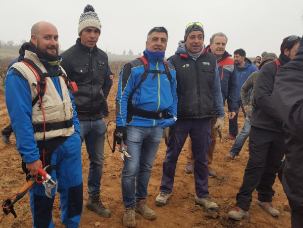 Concurso de poda en Rioja Alavesa Concurso de poda en Rioja Alavesa