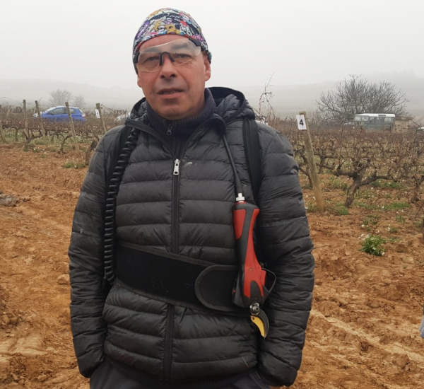 Concurso de poda en Rioja Alavesa Concurso de poda en Rioja Alavesa