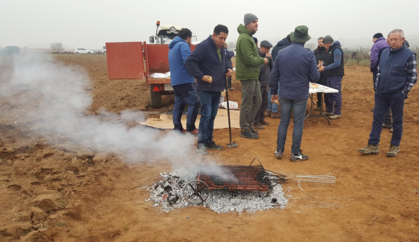 Concurso de poda en Rioja Alavesa Concurso de poda en Rioja Alavesa