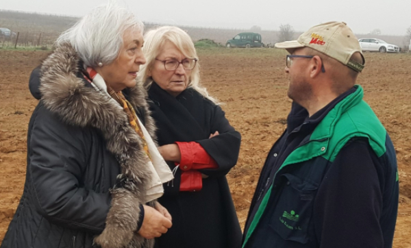 Concurso de poda en Rioja Alavesa Concurso de poda en Rioja Alavesa