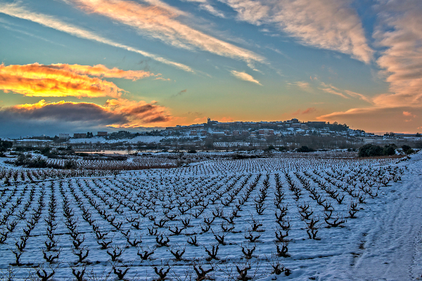 No-Nieve 