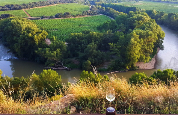 Copa-Ebro