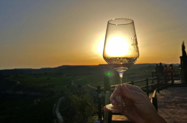 Copa-de-Sol