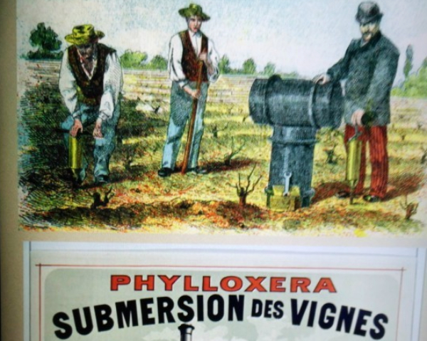 Foto-22