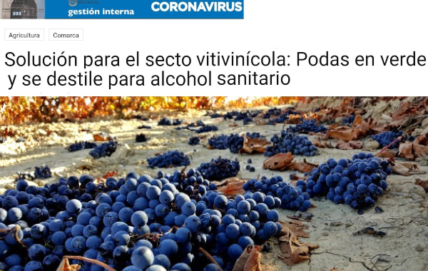 Foto-TIRAR-UVAS
