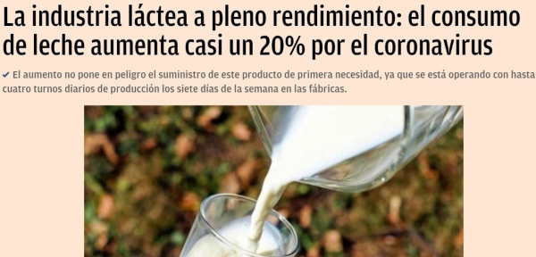 Foto-5