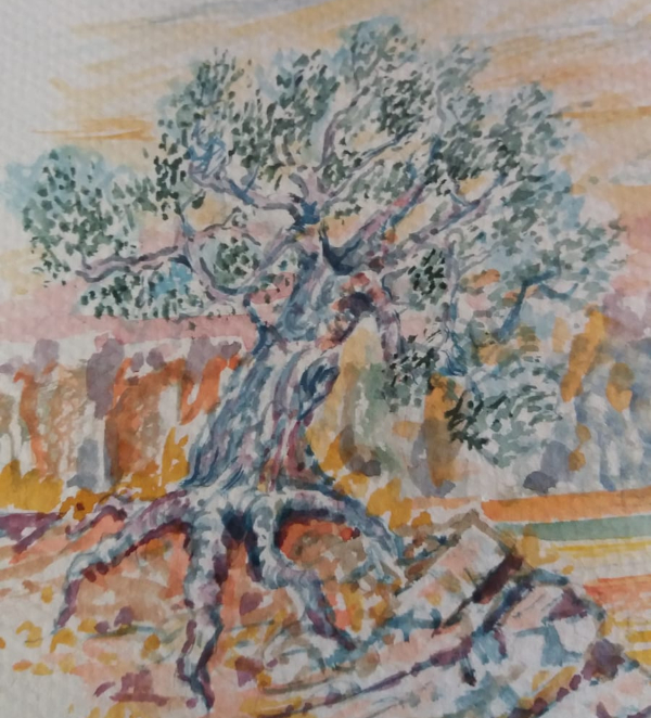 Olivos-Uno