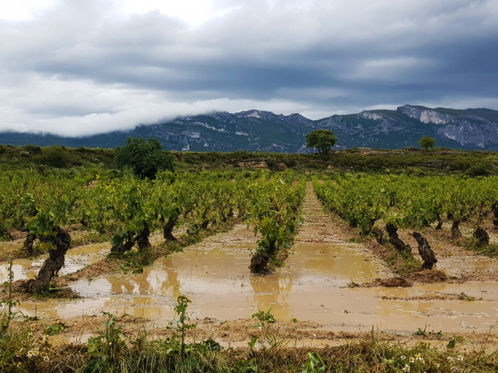 Tormenta en Rioja Alavesa