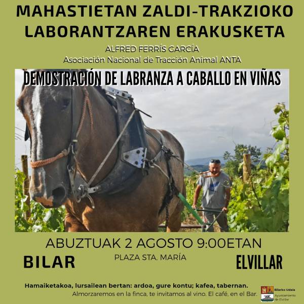 Cartel-Alfred