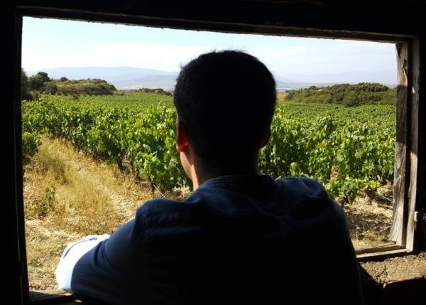Desde-Ventana