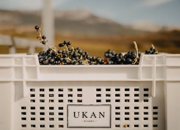 UKAN-Vendimia