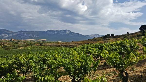 Vina-Sierra-Bai