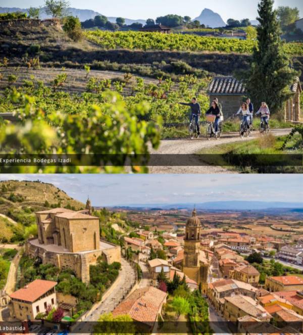 Viajes de Familiarización de la Ruta del Vino