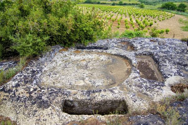 Viticultores de Rioja Alavesa durante el coronavirus
