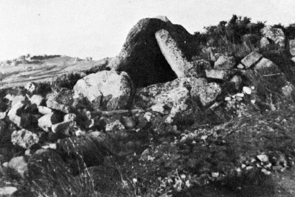 Foto-2