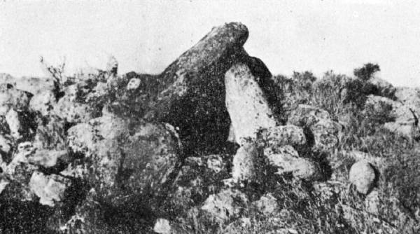Foto-3