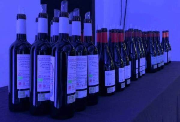 Cata de vinos de Rioja Alavesa