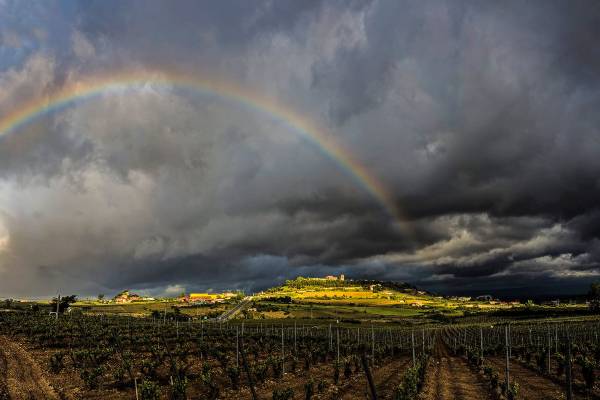 Arcoiris-Guardia