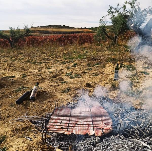 Asado-Campo