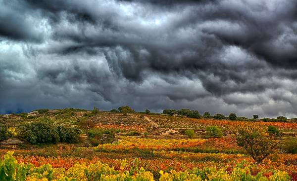 El alma inmortal de Rioja Alavesa