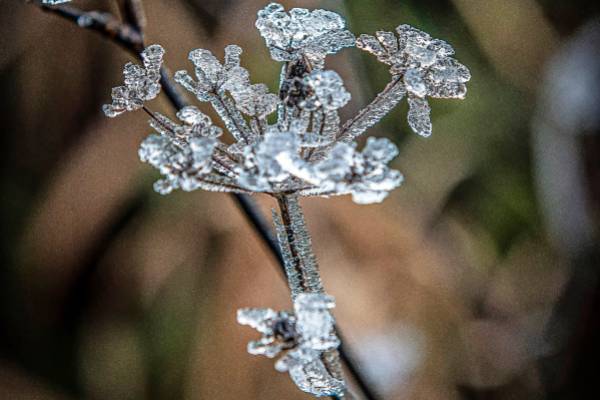 HIELO-HERMOSO
