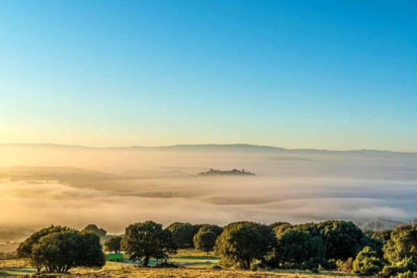 TAPA-NIEBLA
