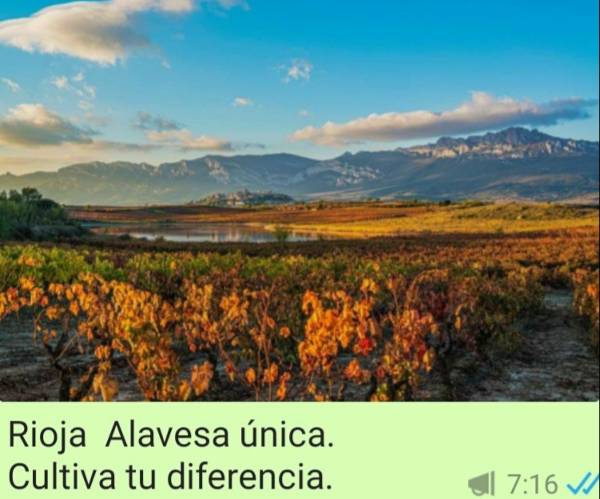 El alma inmortal de Rioja Alavesa