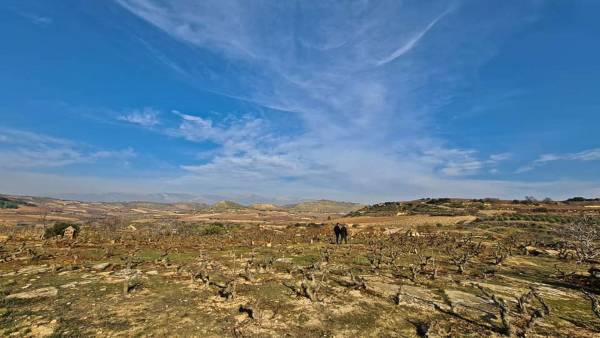 Bodegas Pavoni