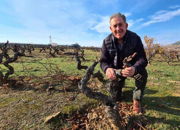 Bodegas Pavoni