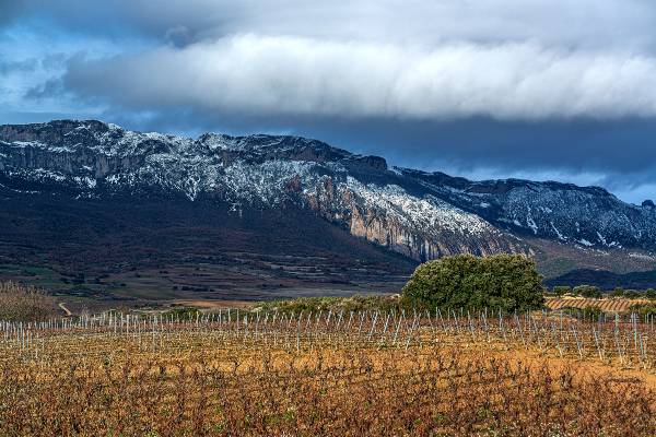 Nieve-2