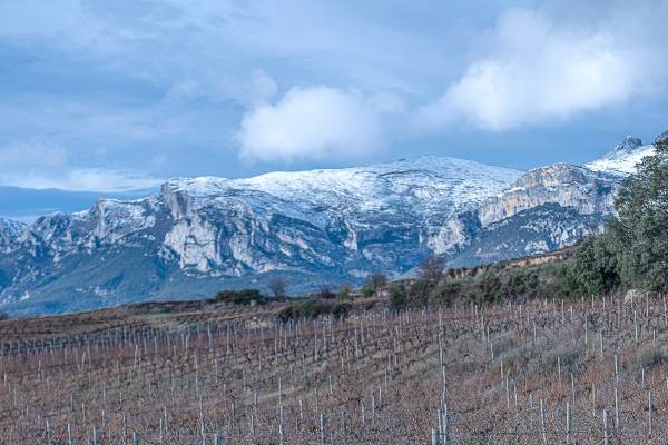 Nieve-5