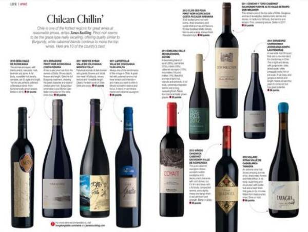 Vinos-Chile-Bai