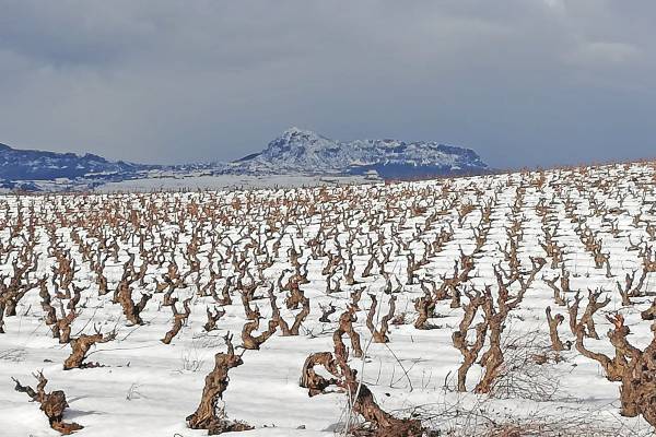 2021 en Rioja Alavesa 2021 en Rioja Alavesa
