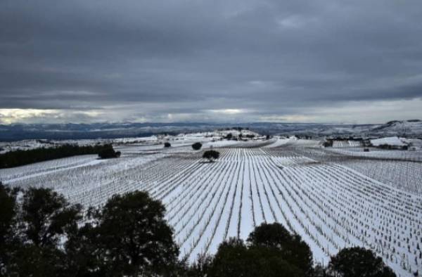 2021 en Rioja Alavesa 2021 en Rioja Alavesa