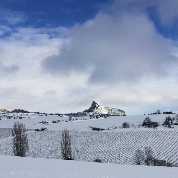 2021 en Rioja Alavesa 2021 en Rioja Alavesa