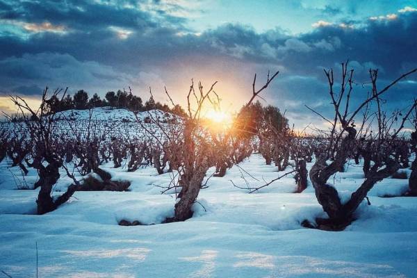 Nieva en Rioja Alavesa