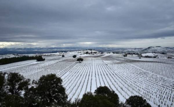 Vino et Poesía Vino et Poesía