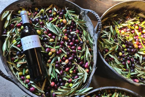Vino et Poesía Vino et Poesía