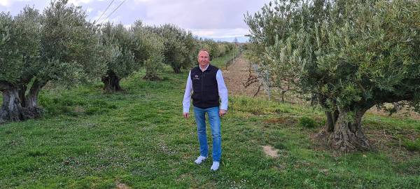 Olivos-Vina