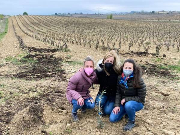 Cultivo de árboles en Rioja Alavesa