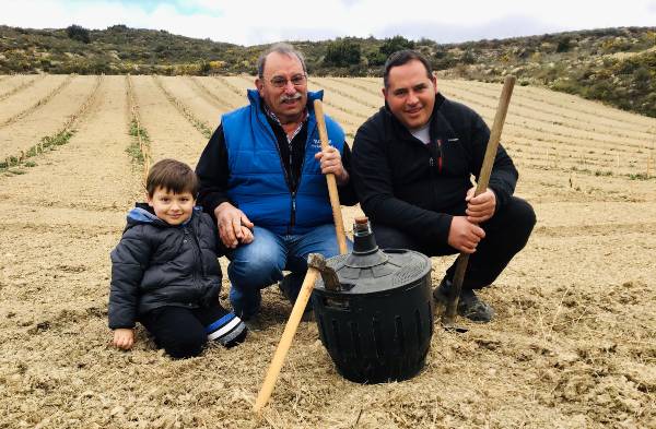 Cultivo de árboles en Rioja Alavesa