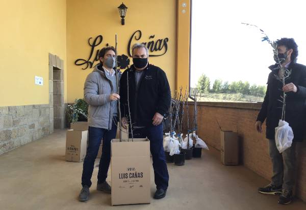 Cultivo de árboles en Rioja Alavesa