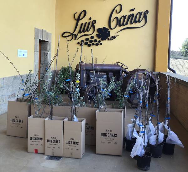 Cultivo de árboles en Rioja Alavesa