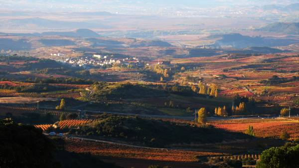 Votantes de Rioja Alavesa