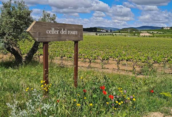 Letrero-Celler