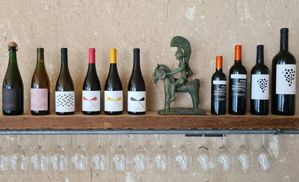 Sus-Vinos