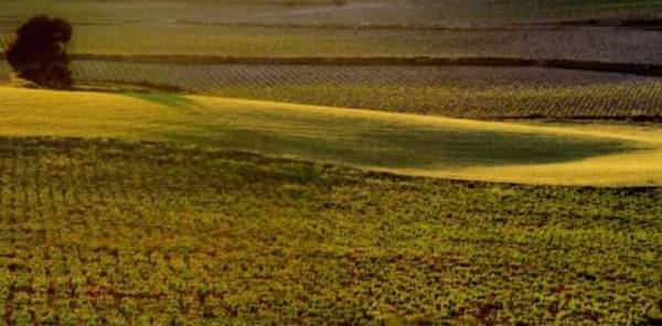 Toscana-II