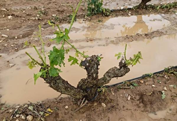Tormenta en Rioja Alavesa